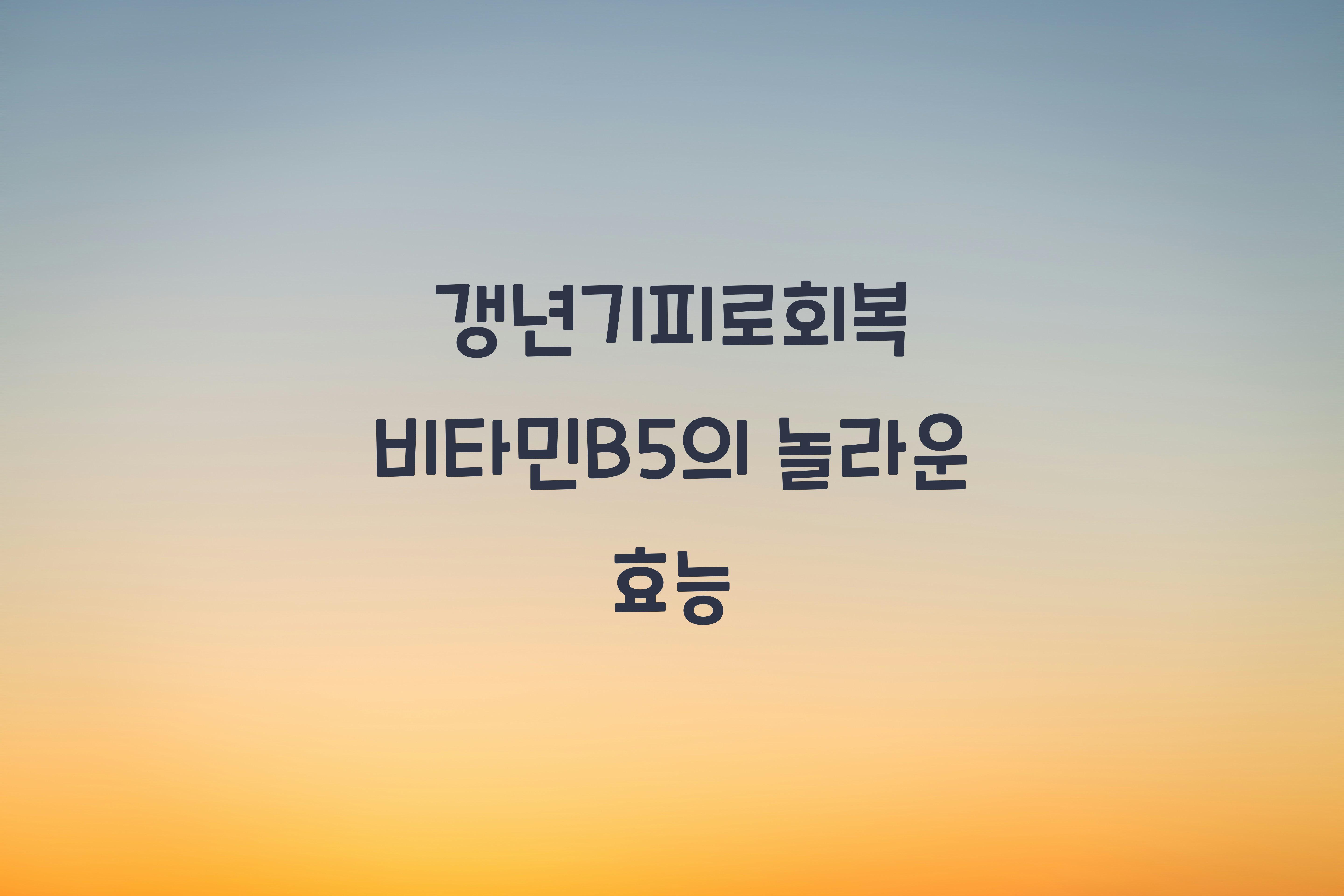 갱년기피로회복 비타민B5
