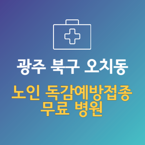 광주 북구 오치동 노인 독감예방접종 무료 병원 (인플루엔자 무료 접종 대상 날짜)