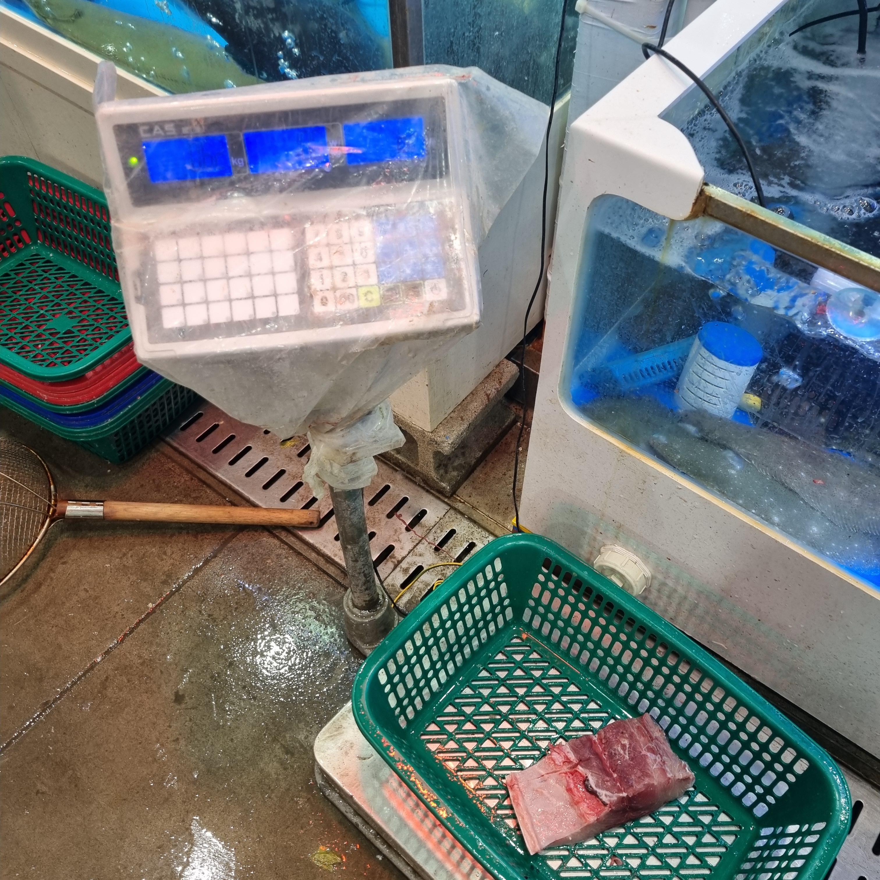 수원 수산물 도매시장 방어