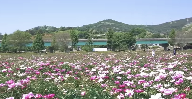 합천 생태공원4