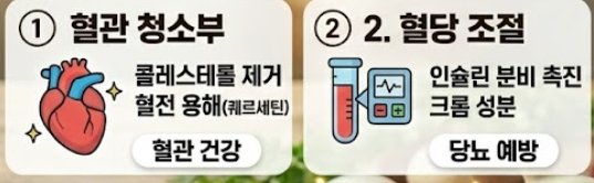 양파 효능