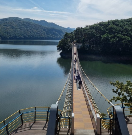 '100억송이' 가을꽃