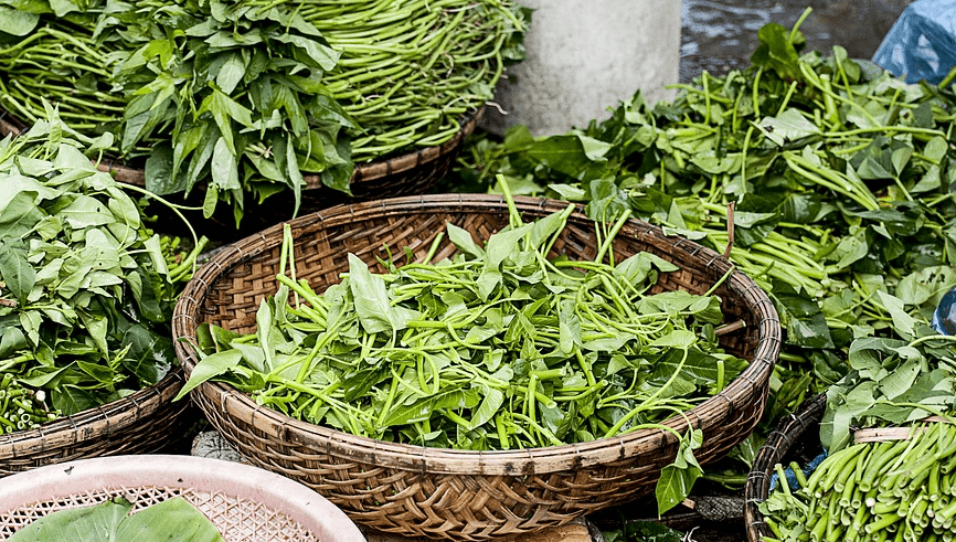 여러가지 녹색 잎 채소가 바구니에 담겨 있다