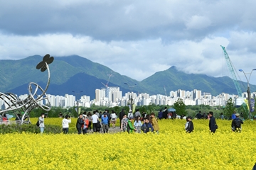 2024 구리 유채꽃 축제 기본일정과 프로그램 소개 민경훈 김나희 울랄라세션 류지광 김연자 황민우 KCM 바다 출연