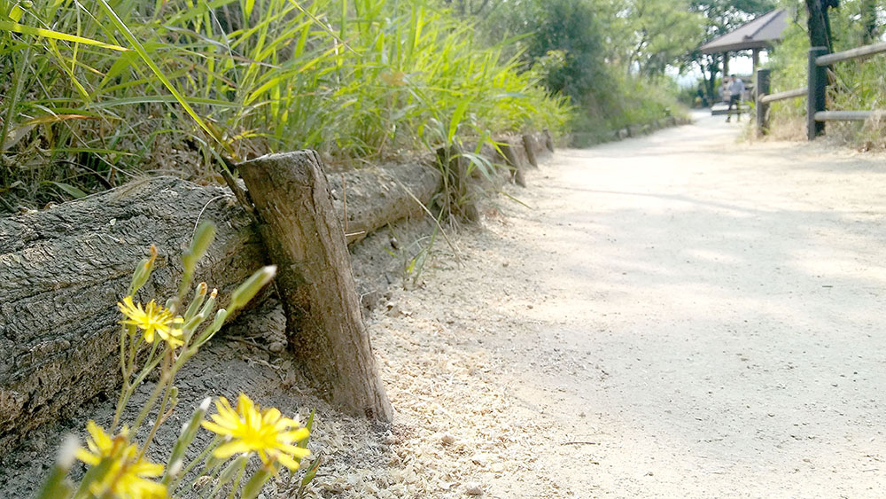 서대문구 안산자락길(AnsanJarakgil)을 걷다