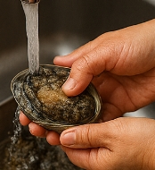 전복 손질하는법