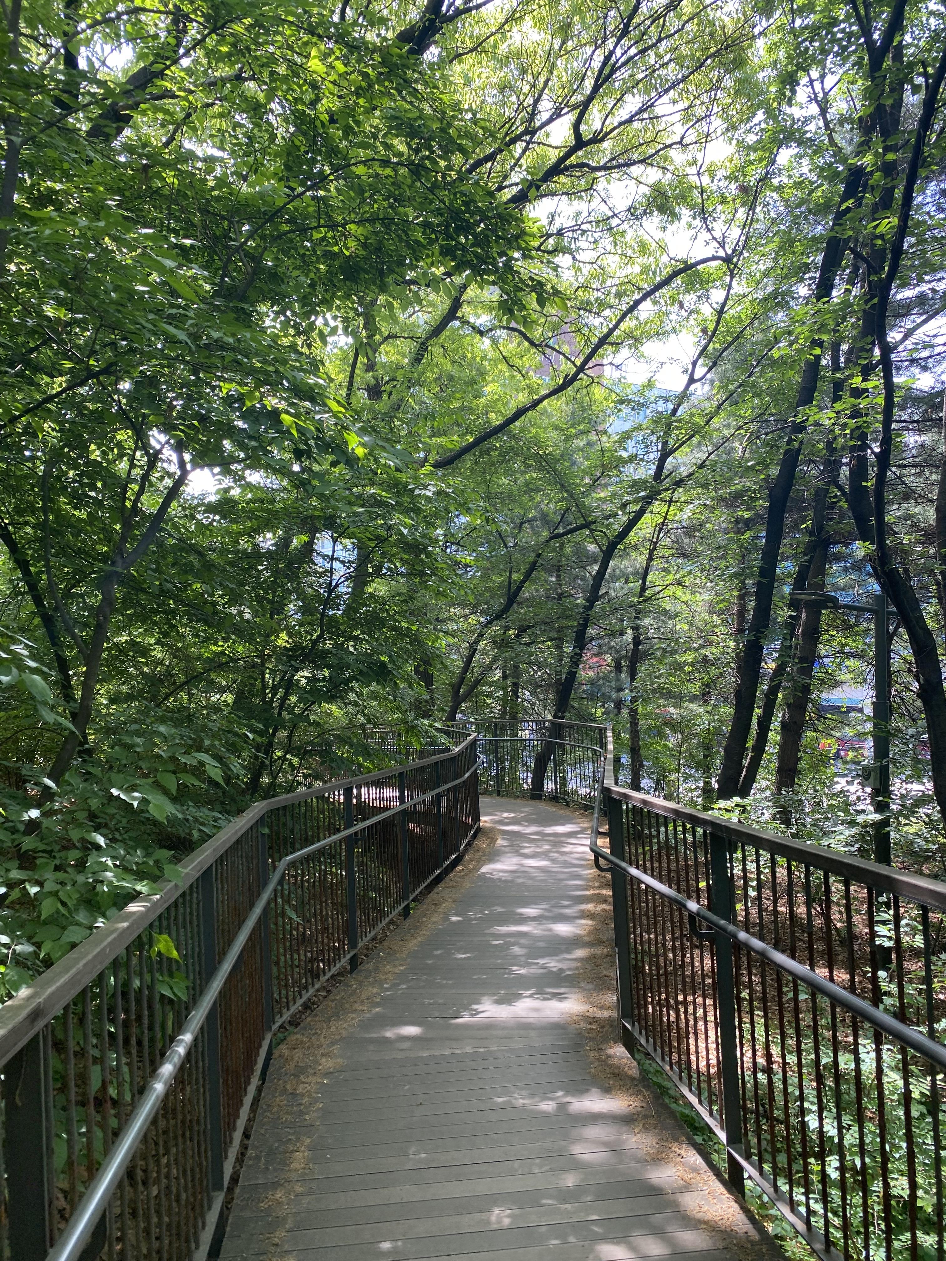 Alt 속성 문제 해결 설명 이미지