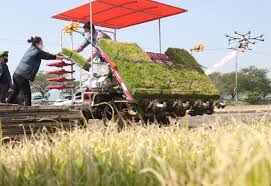 농업직불금 온라인 교육 신청