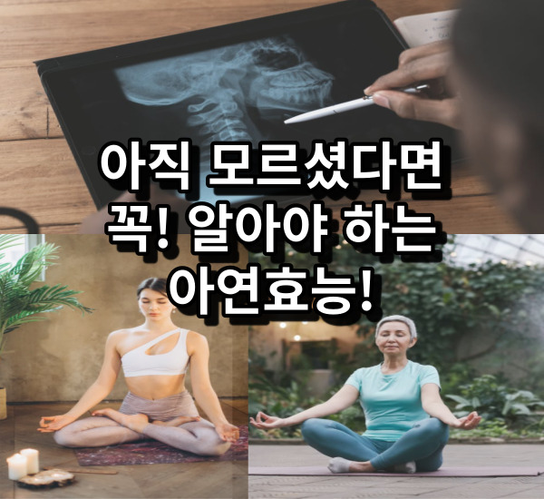 아연효능 필수 영양소