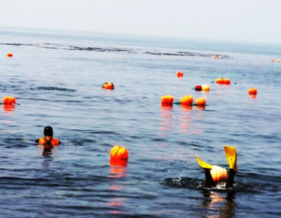 어업활동 중 발생하는 재해와 사고