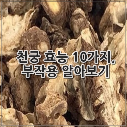 천궁 효능 10가지, 부작용 알아보기