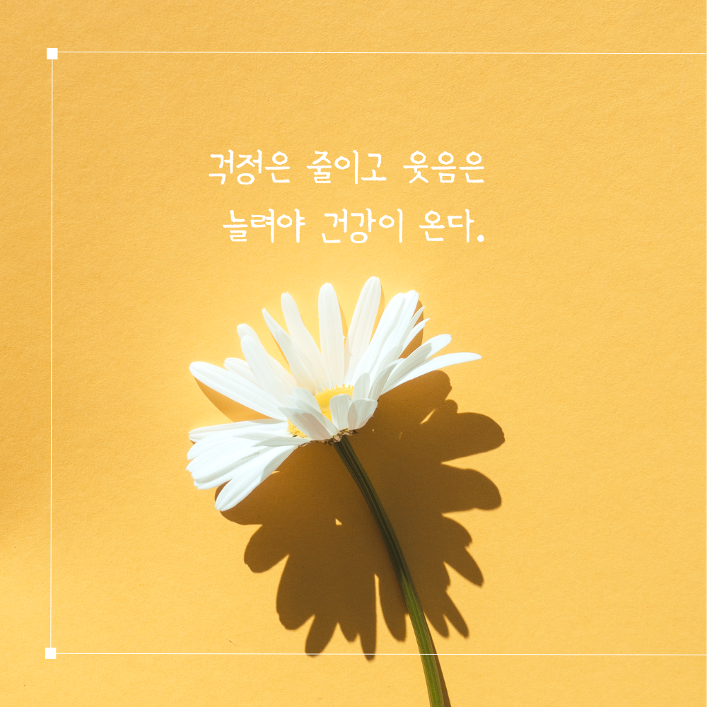 건강 명언 모음 이미지 글귀