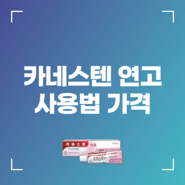 카네스텐 연고 효과 사용법 가격