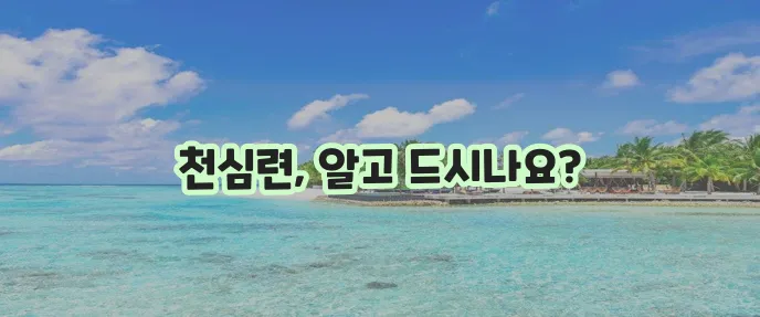 천심련 효능과 복용법, 부작용까지 알아봅시다!