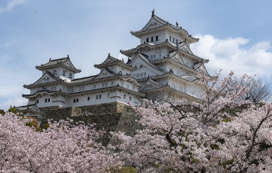 일본-항공권-최저가-사이트