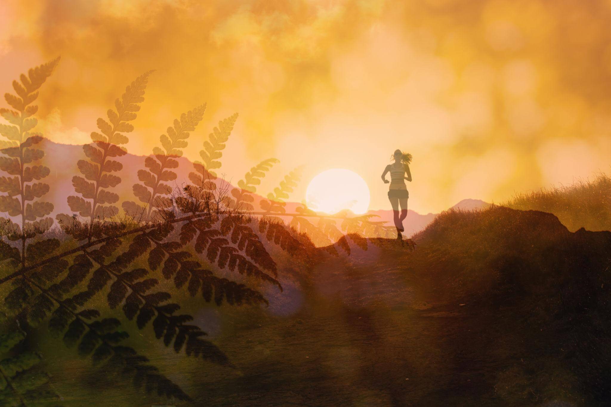 아침 공복 러닝, 혈당 관리와 근손실의 진실