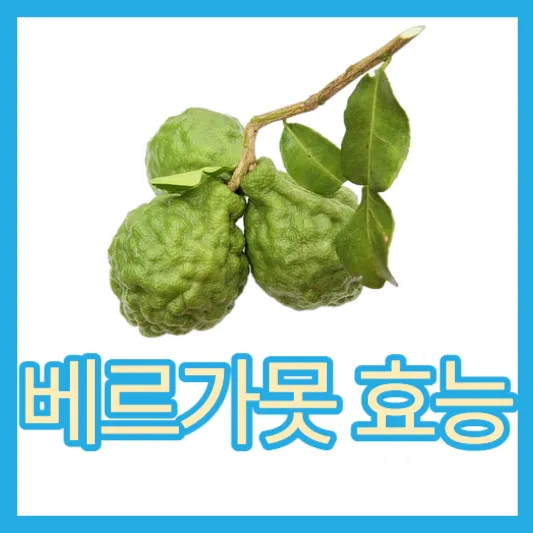 베르가못 오일 효능