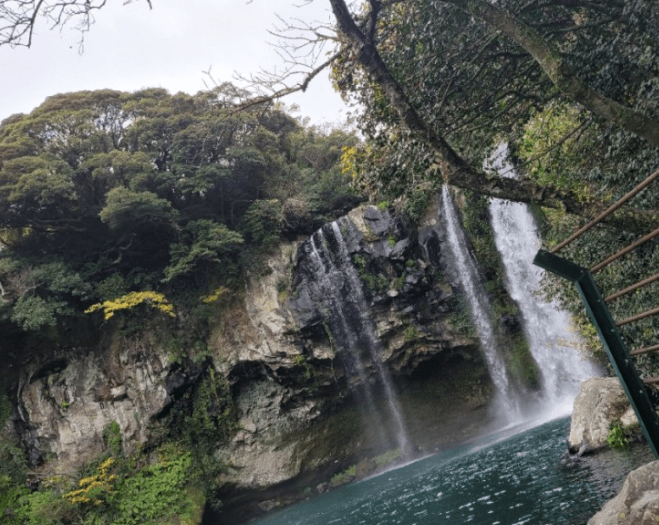 가로-세로-연못의-전체적인-풍경