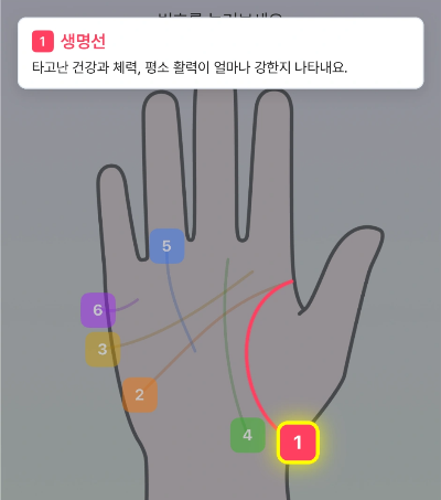 맞점 손금보기 손금별 의미 화면