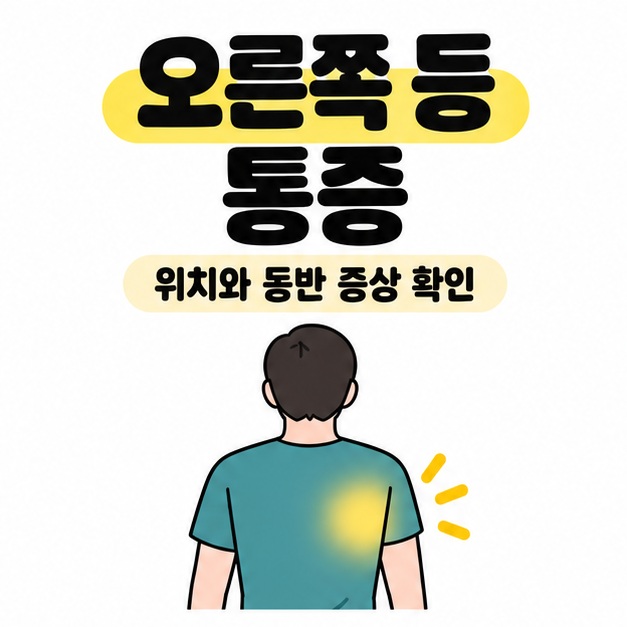 오른쪽 등 통증이라는 제목 아래 성인의 뒷모습에서 오른쪽 등 부위를 노란색으로 표시하고 위치와 동반 증상 확인을 안내하는 그림