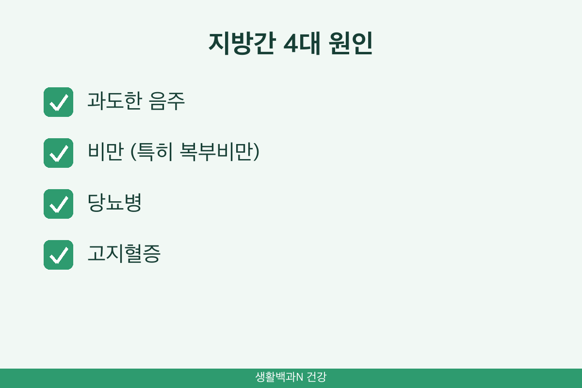 지방간 원인 음주 복부비만 당뇨병 고지혈증