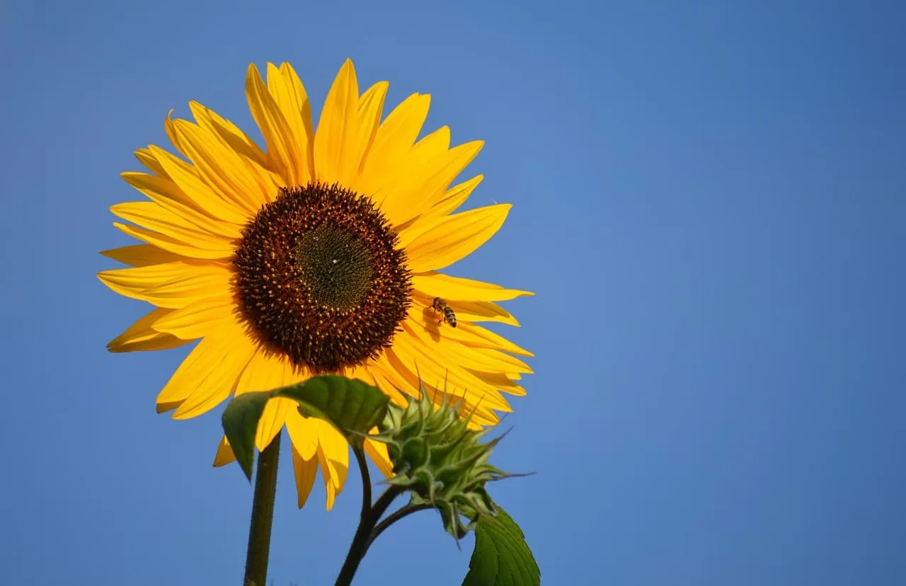 전라권 1인 가구 대상 복지정책 2025년 개편 사항