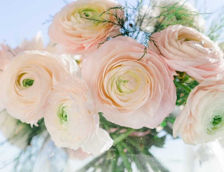 아름다운 라넌큘러스