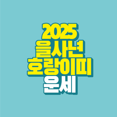 썸네일-2025-을사년-호랑이띠-운세