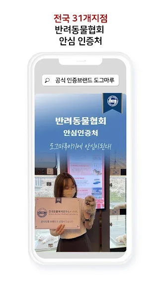 유기묘 새끼 고양이 무료 분양 어플 앱-23 유기묘 새끼 고양이 무료 분양 어플 앱-23