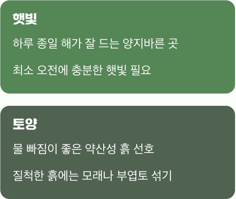 진달래가 좋아하는 집의 조건 (햇빛과 흙)