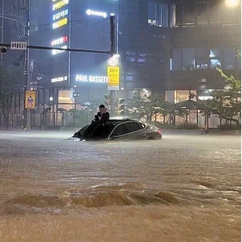 2022년 서울 강남