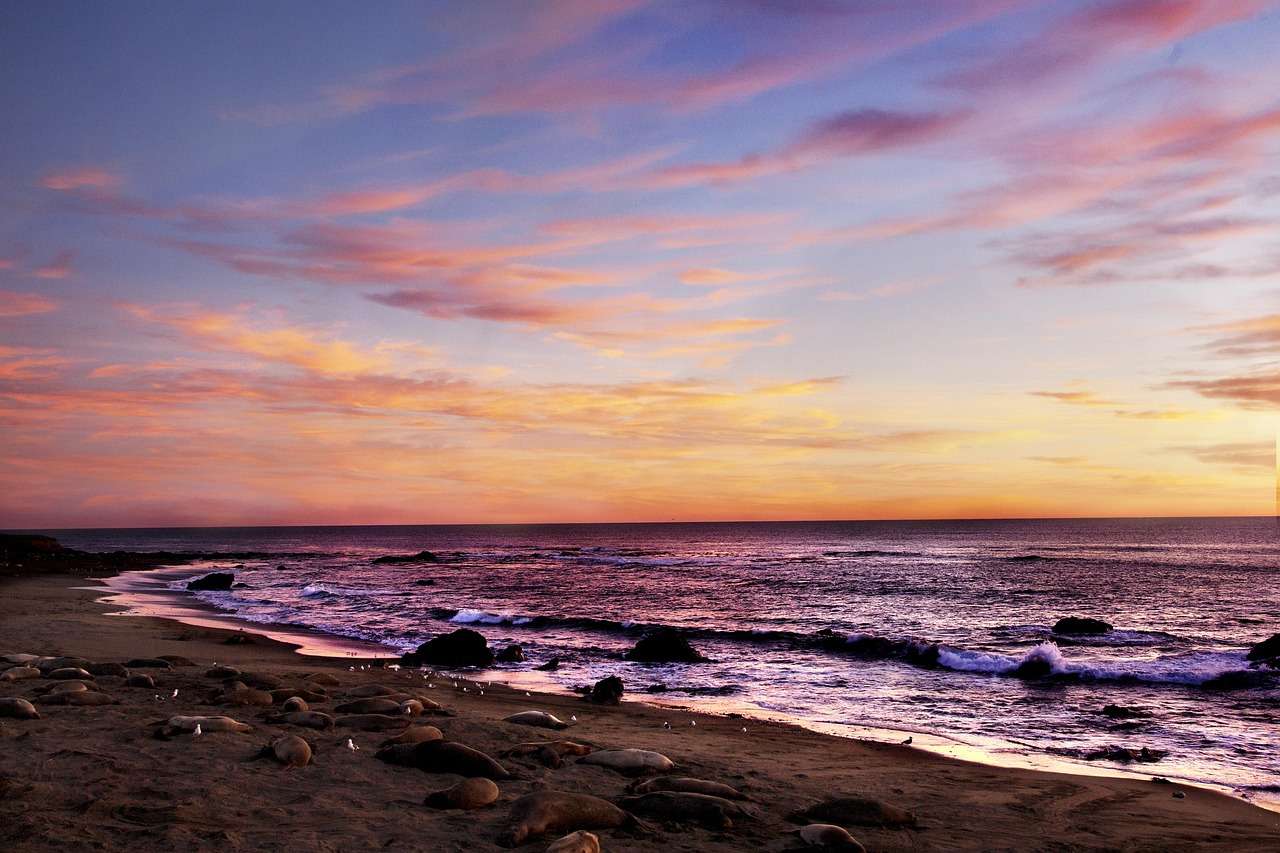 서쪽 노을 라인 관련 사진