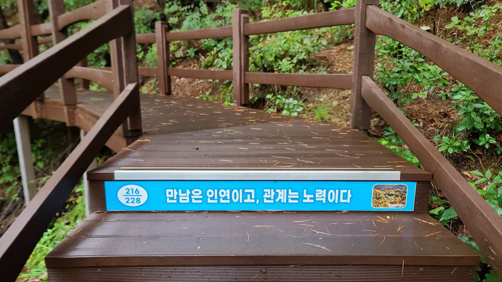 전망대4