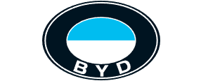 BYD 전기차