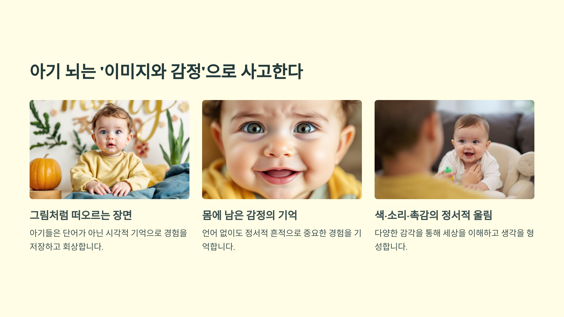 아기 뇌는 '이미지와 감정'으로 사고한다