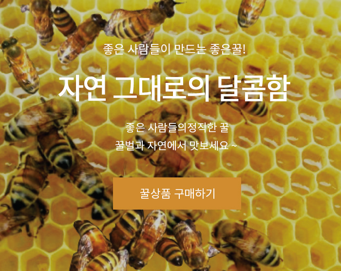 토종꿀