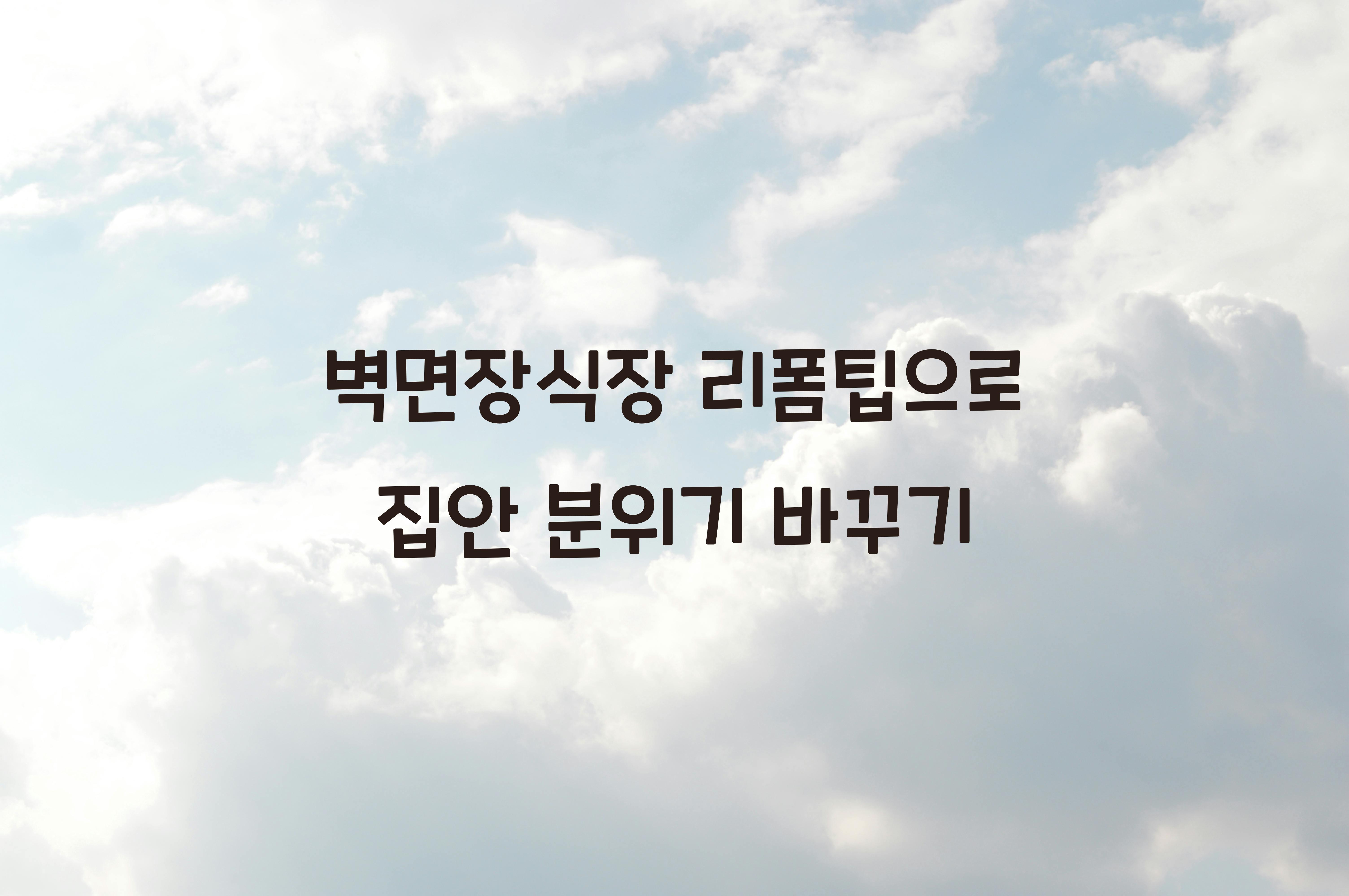 벽면장식장 리폼팁