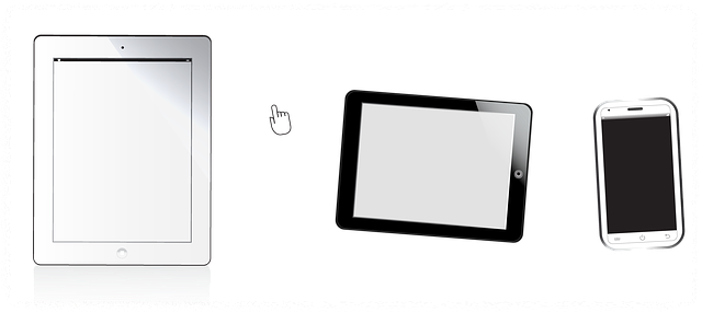 일반 종량제봉투에 버려도 되지 않나요?