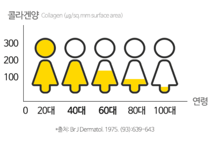 나이에 따른 콜라 겐양