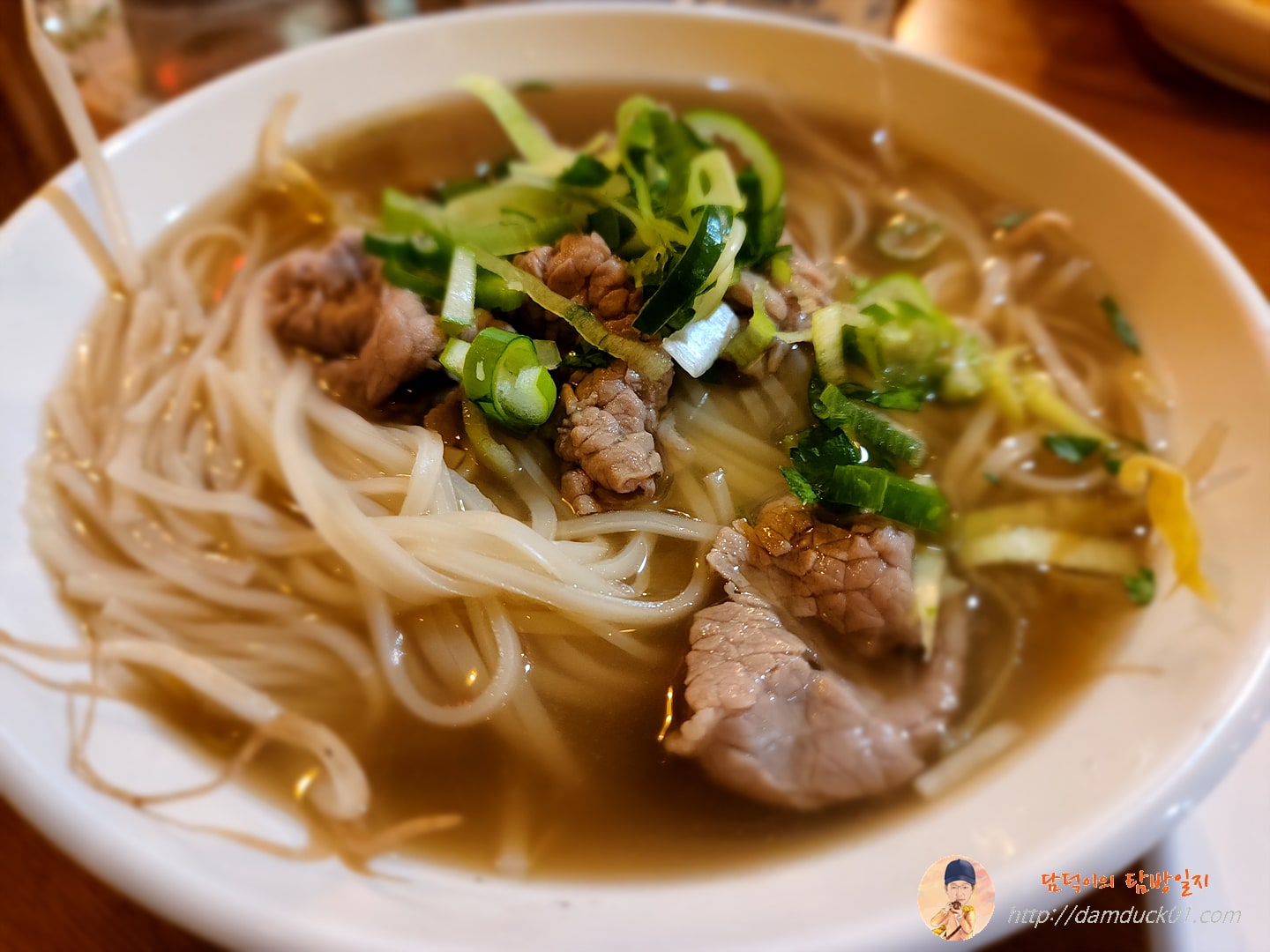 칠리엔의 소고기 쌀국수(S)