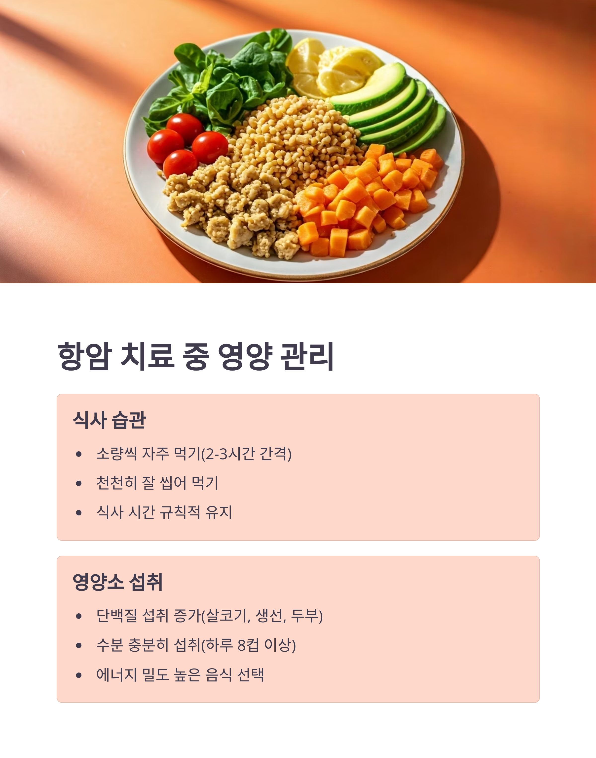 항암치료 중 영양관리