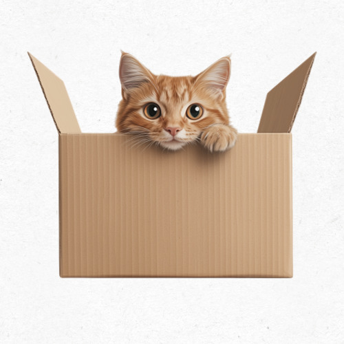 행복한 고양이의 얼굴이 담긴 그림