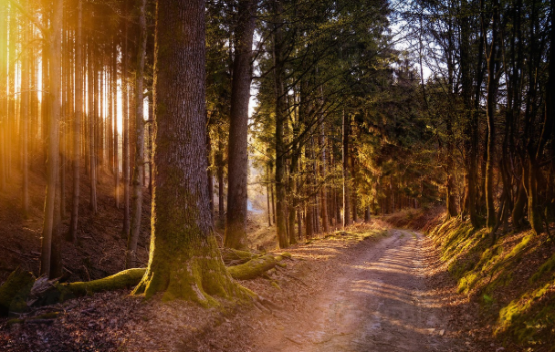 가족과 함께하기 좋은 국내 자연 여행지 Top3