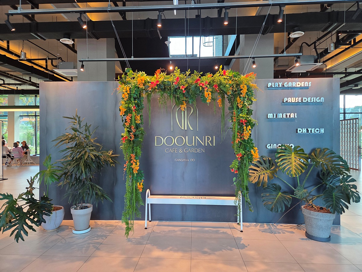 강화도 대형카페 두운리: 목수국, 온실 정원까지 맛과 분위기 모두 잡은 강화도 갈만한곳