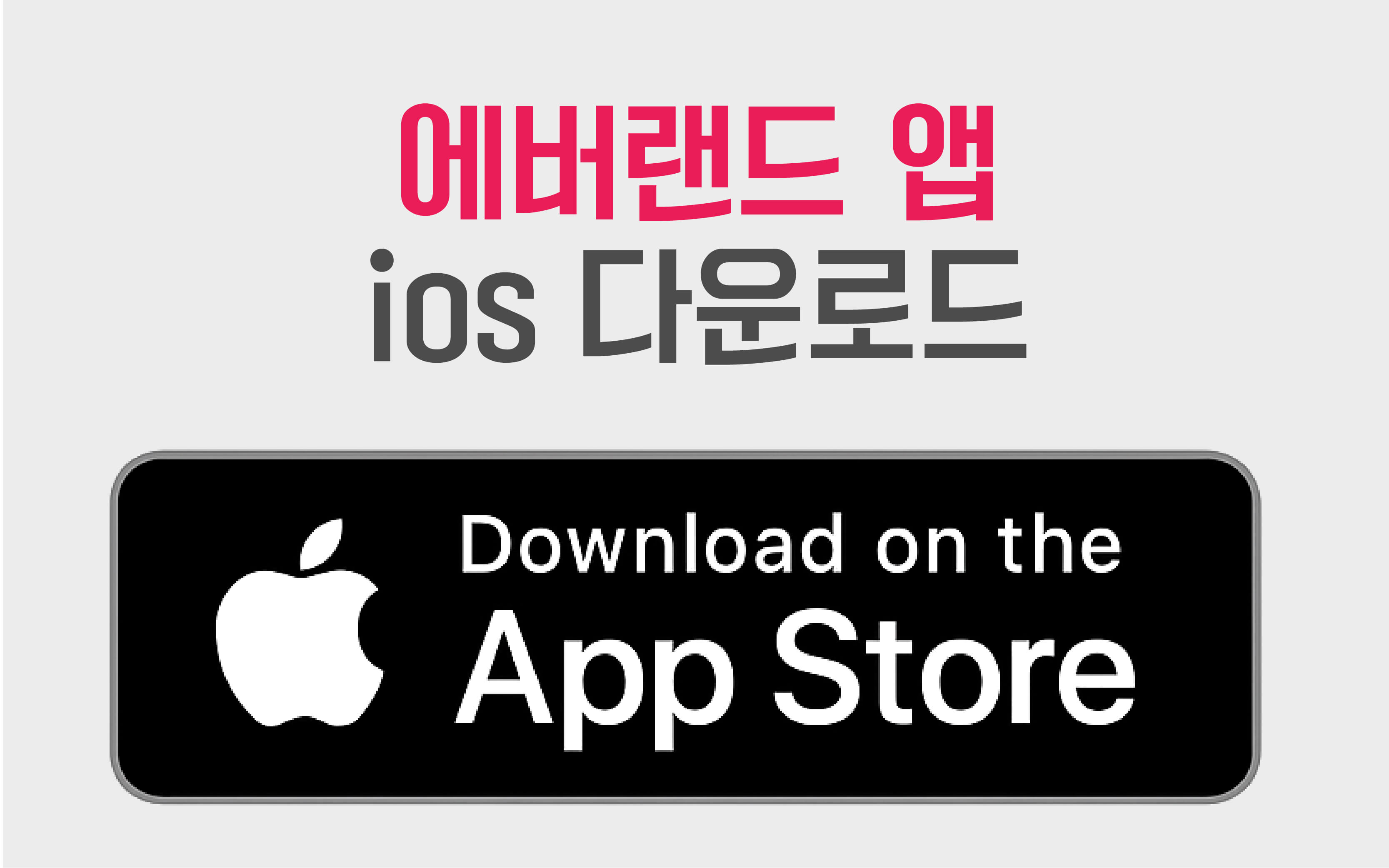 에버랜드앱-ios 다운로드