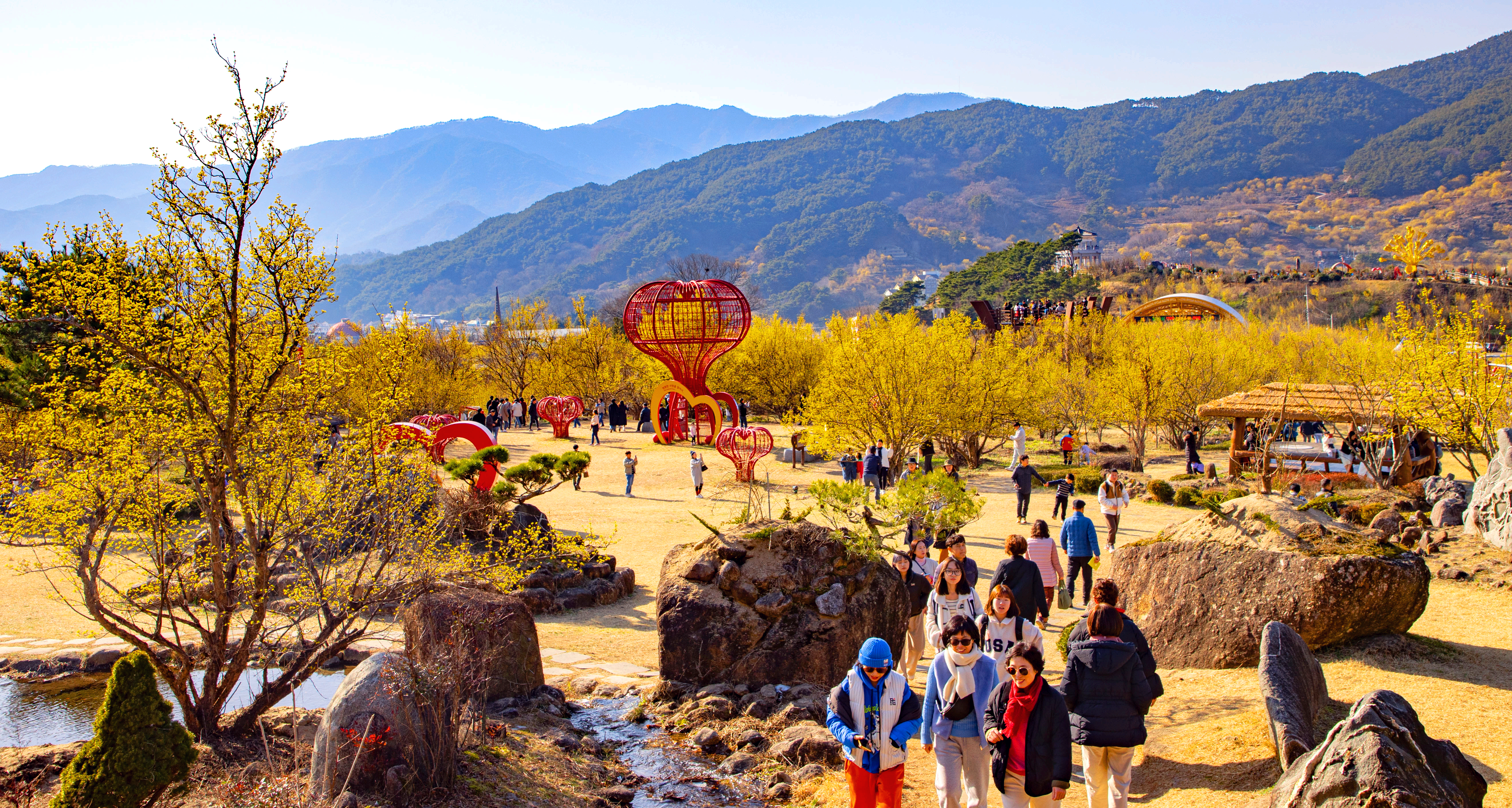 구례산수유축제