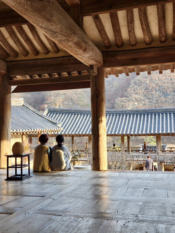 마루에서_보는_풍경