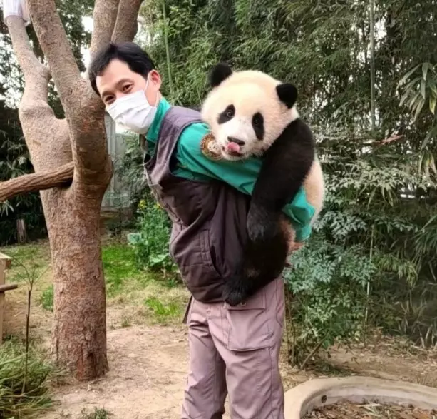 송바오