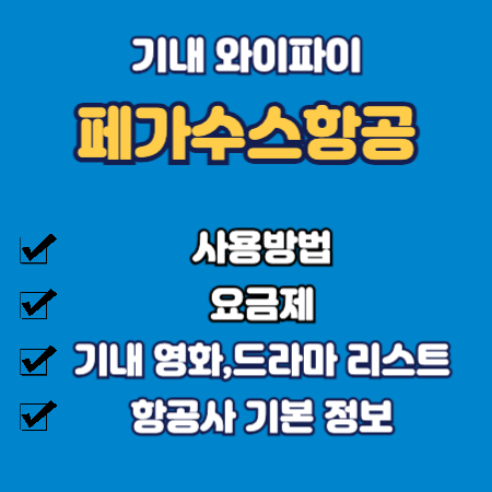 페가수스항공 기내 와이파이