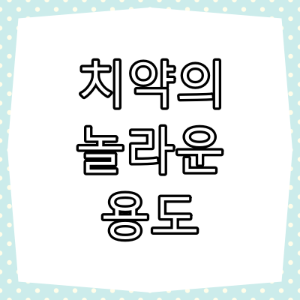 치약 용도